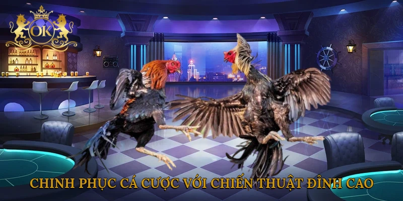 chinh-phuc-ca-cuoc-voi-chien-thuat-dinh-cao
