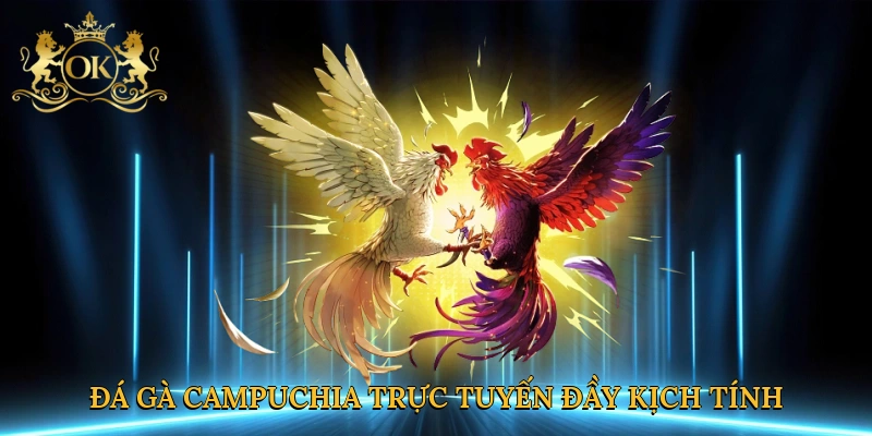 da-ga-campuchia-truc-tuyen-day-kich-tinh