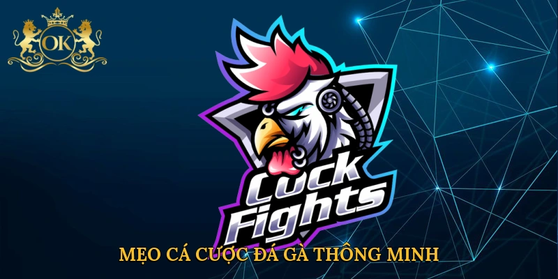 meo-ca-cuoc-da-ga-thong-minh