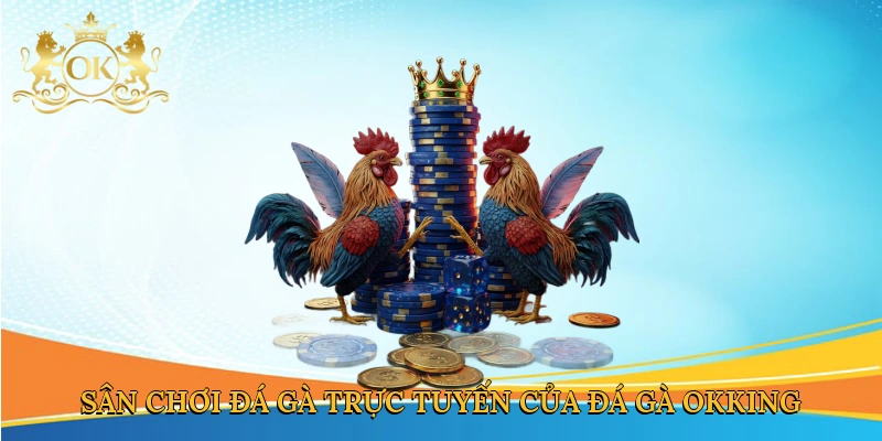 san-choi-da-ga-truc-tuyen-cua-da-ga-okking