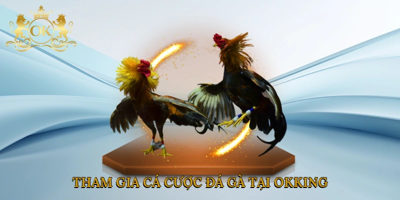tham-gia-ca-cuoc-da-ga-tai-okking