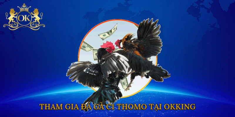 tham-gia-da-ga-c1-thomo-tai-okking