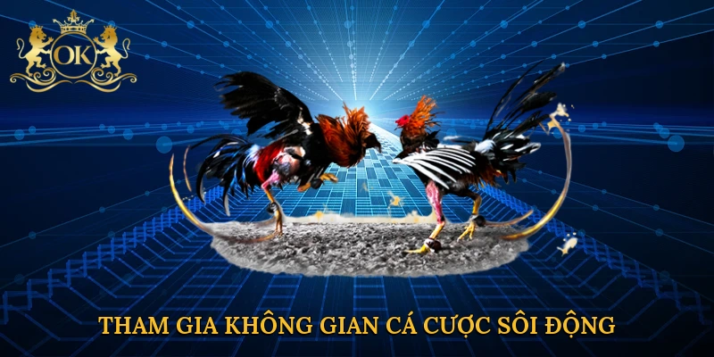 tham-gia-khong-gian-ca-cuoc-soi-dong