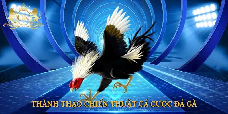 thanh-thao-chien-thuat-ca-cuoc-da-ga
