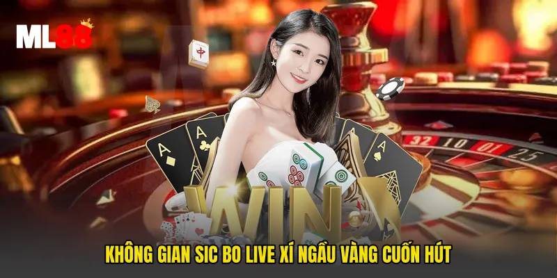 Không gian Sic Bo Live Xí Ngầu Vàng cuốn hút